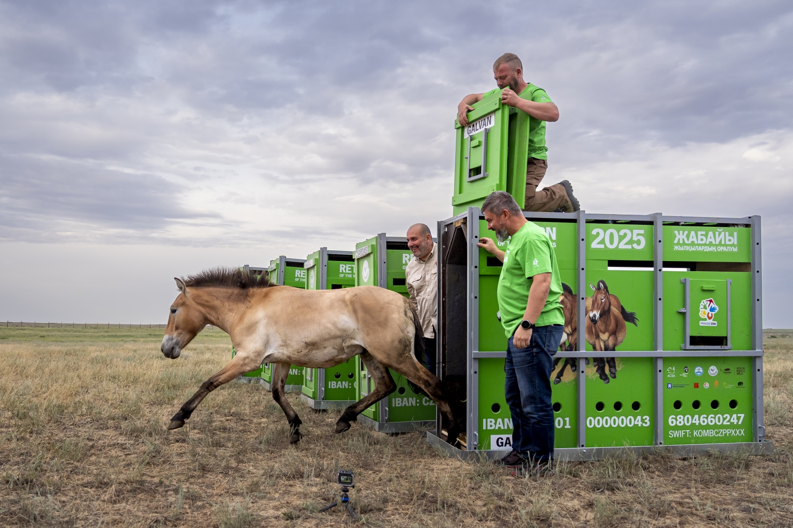 czech nature photo nominace Série
               - Jan Handrejch