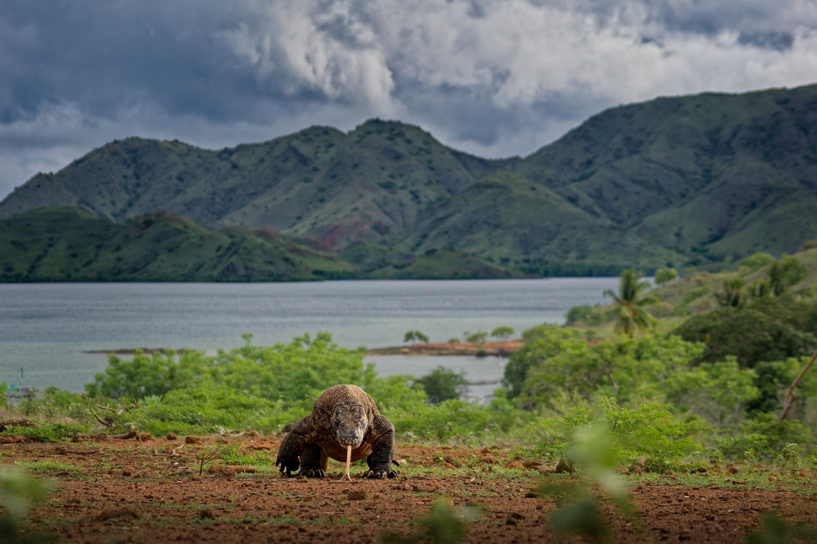 czech nature photo nominace Série
               - Martin Pelánek