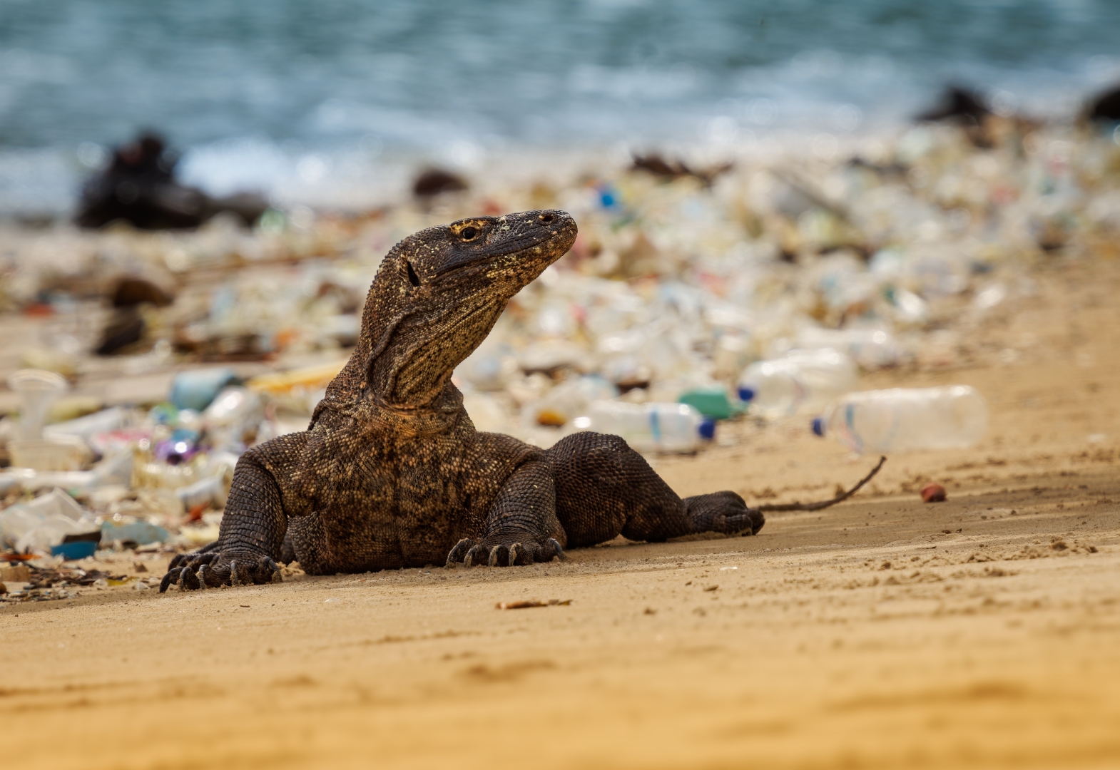 czech nature photo nominace Série
               - Martin Pelánek