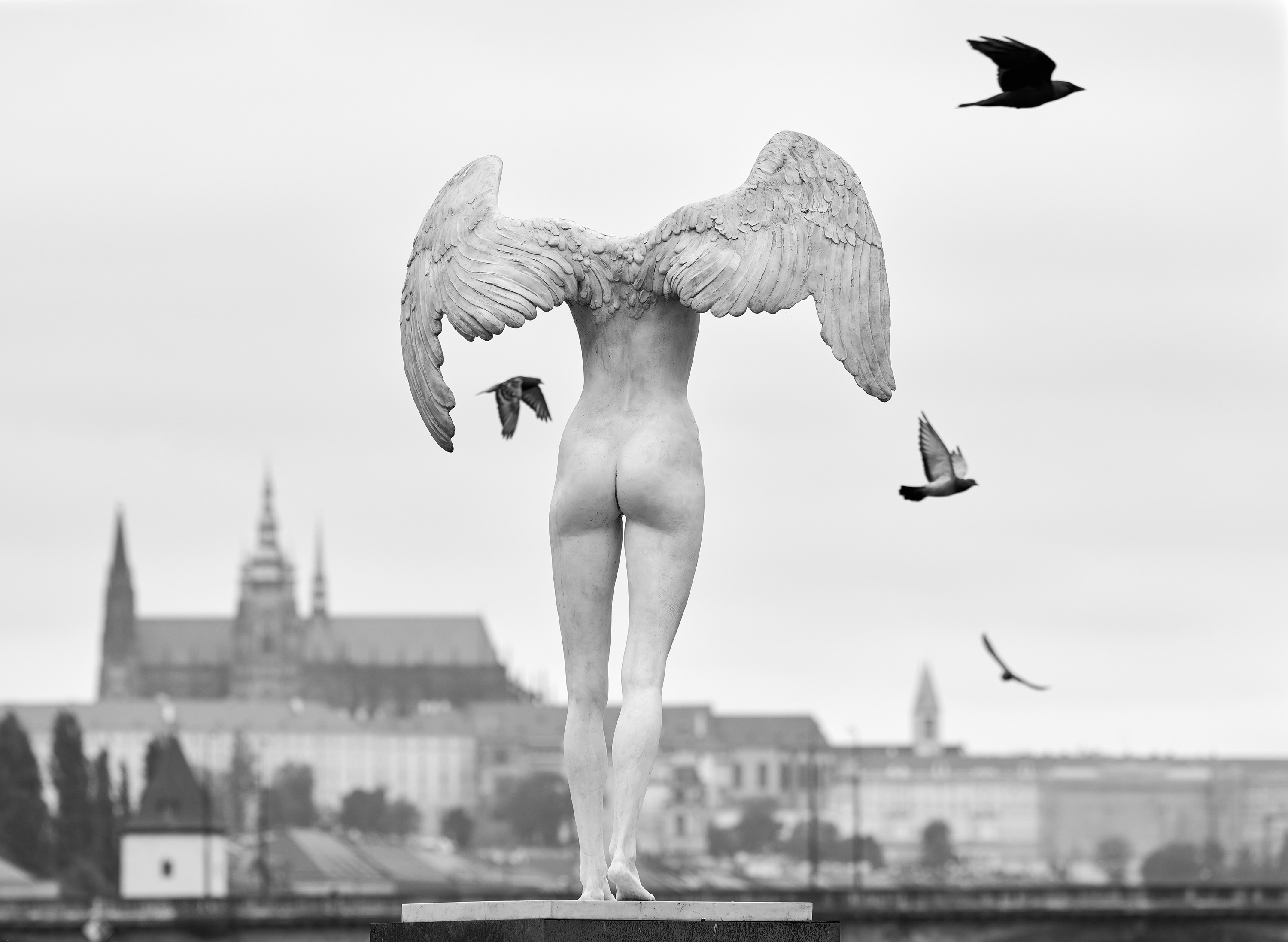 czech nature photo Cena Prahy – Tomáš Grim - Letecký provoz nad Prahou