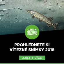 Czech Nature Photo 2018 vítězové